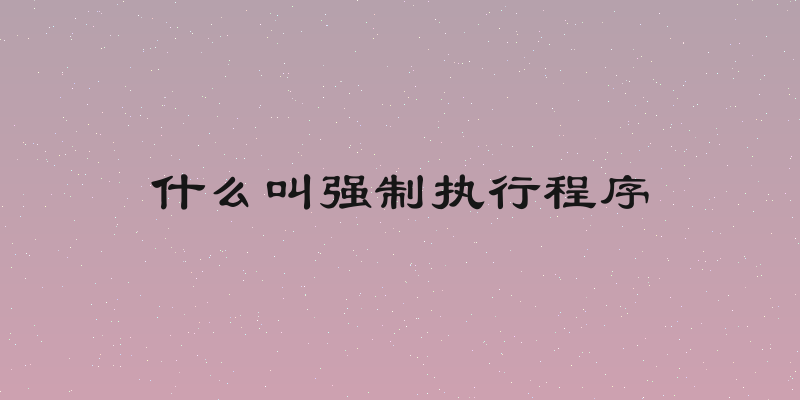 什么叫强制执行程序