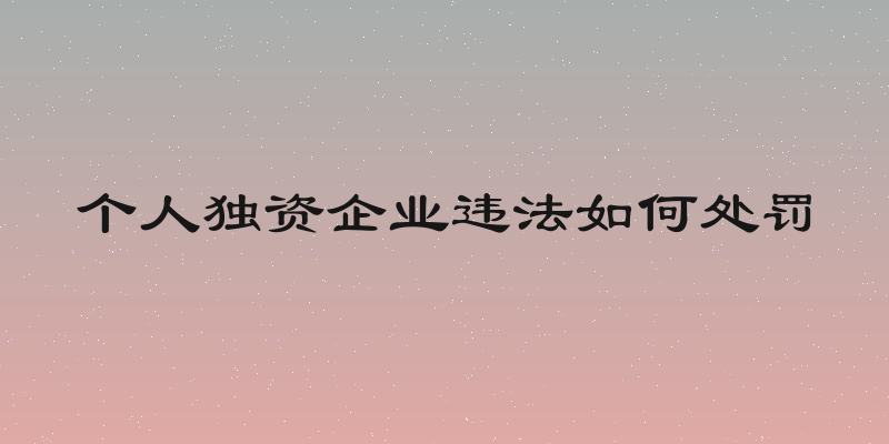 个人独资企业违法如何处罚