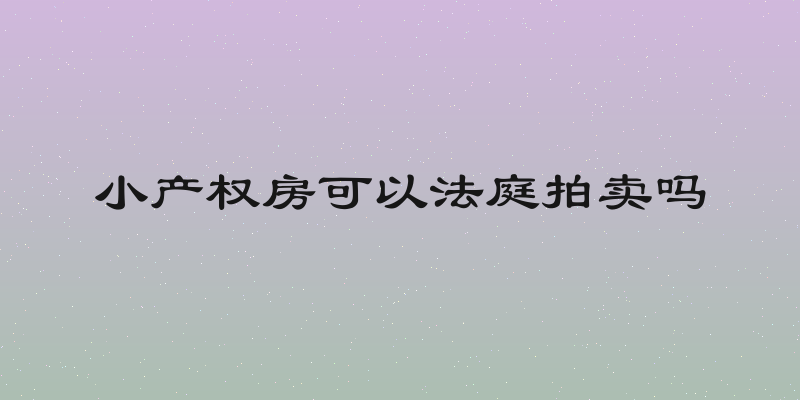 小产权房可以法庭拍卖吗