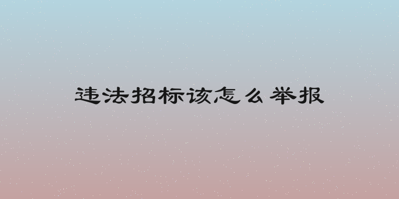 违法招标该怎么举报