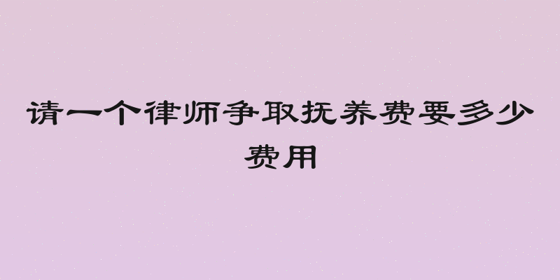 请一个律师争取抚养费要多少费用