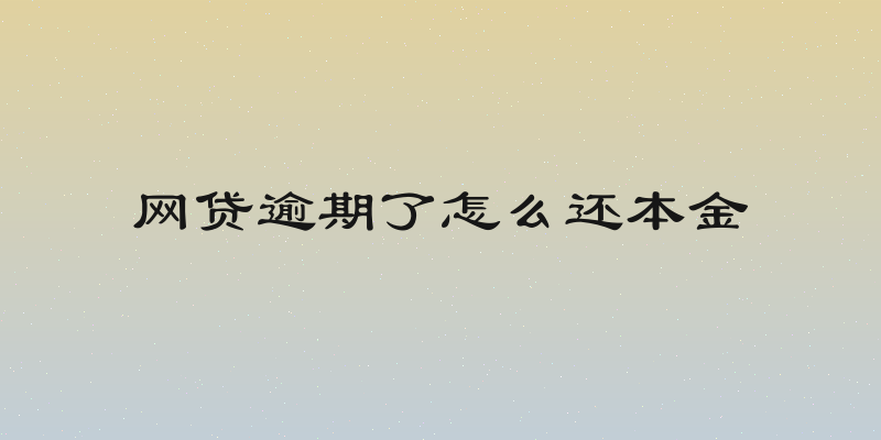 网贷逾期了怎么还本金