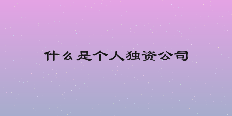 什么是个人独资公司