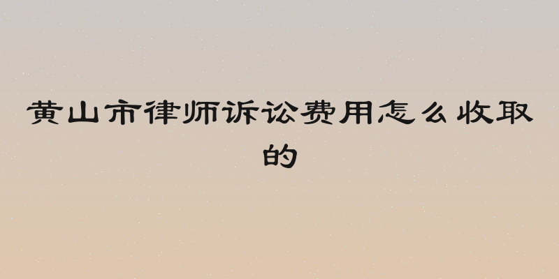 黄山市律师诉讼费用怎么收取的