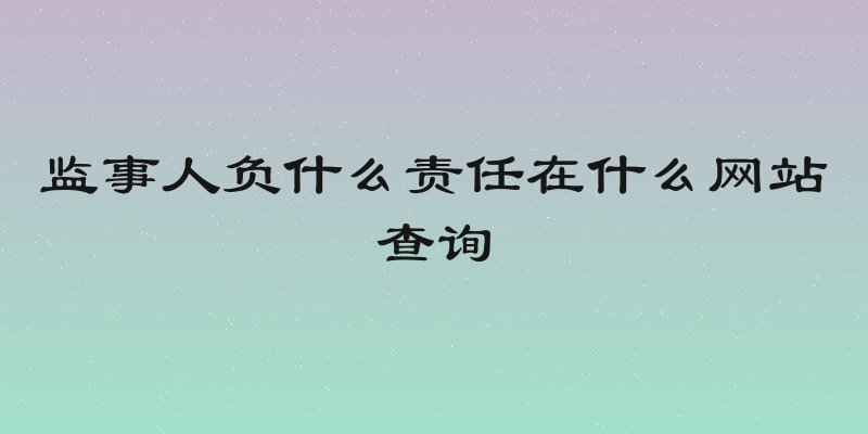 监事人负什么责任在什么网站查询