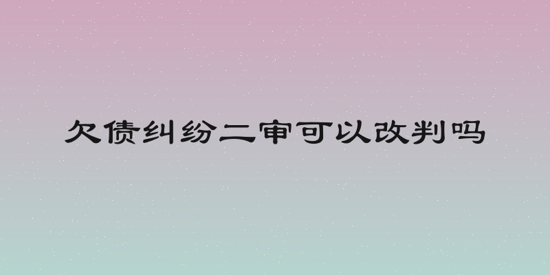 欠债纠纷二审可以改判吗