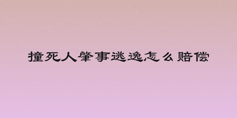 撞死人肇事逃逸怎么赔偿