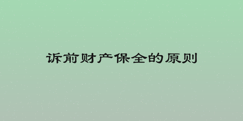 诉前财产保全的原则