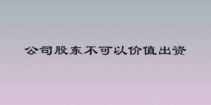 公司股东不可以价值出资