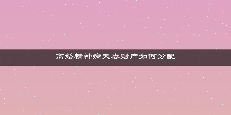 离婚精神病夫妻财产如何分配