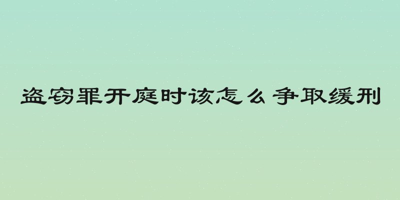 盗窃罪开庭时该怎么争取缓刑