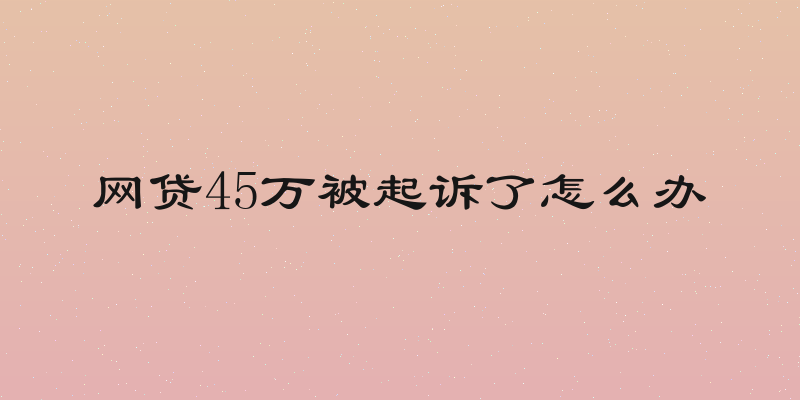 网贷45万被起诉了怎么办