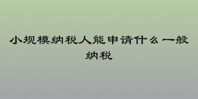 小规模纳税人能申请什么一般纳税