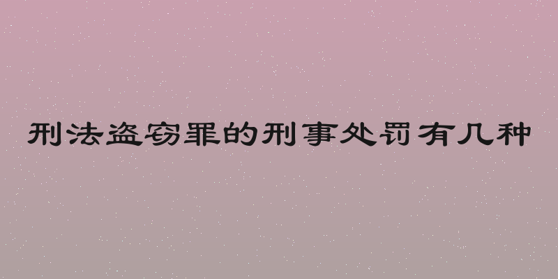 刑法盗窃罪的刑事处罚有几种