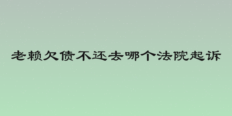 老赖欠债不还去哪个法院起诉