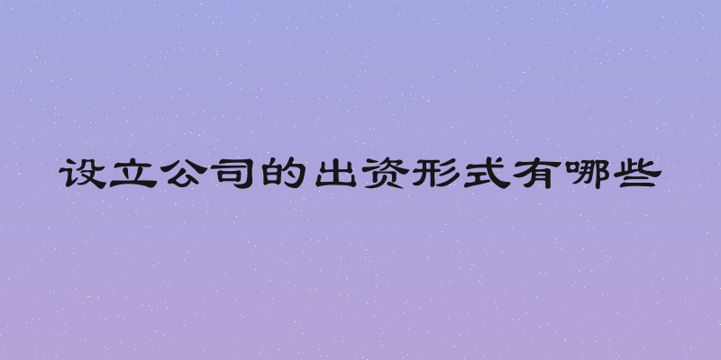 设立公司的出资形式有哪些