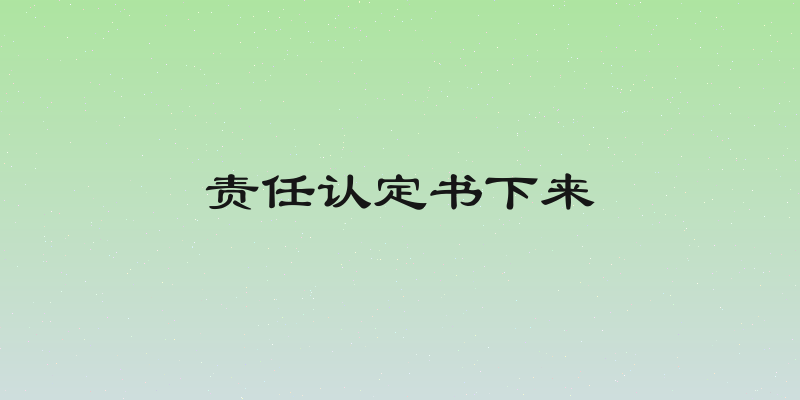 责任认定书下来
