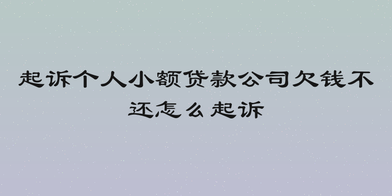 起诉个人小额贷款公司欠钱不还怎么起诉