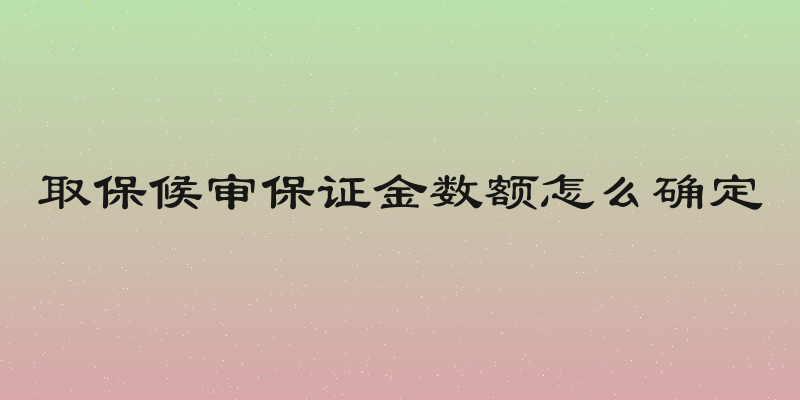 取保候审保证金数额怎么确定