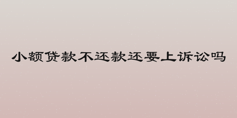 小额贷款不还款还要上诉讼吗