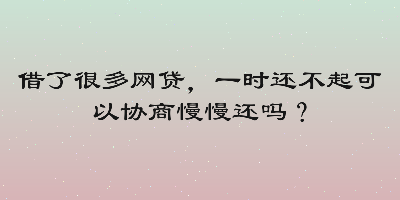 借了很多网贷，一时还不起可以协商慢慢还吗？