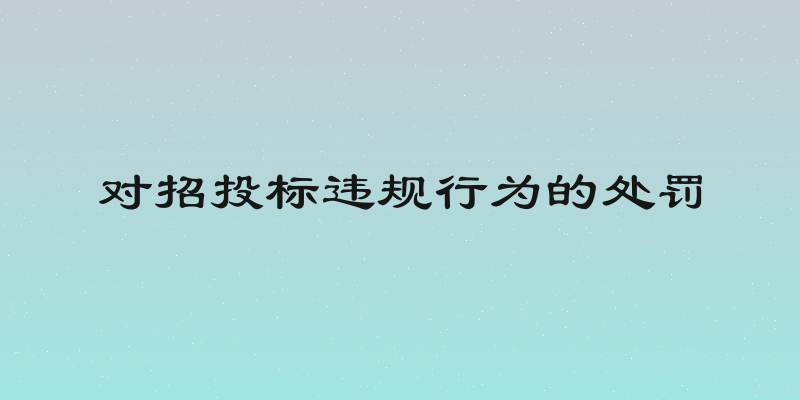 对招投标违规行为的处罚
