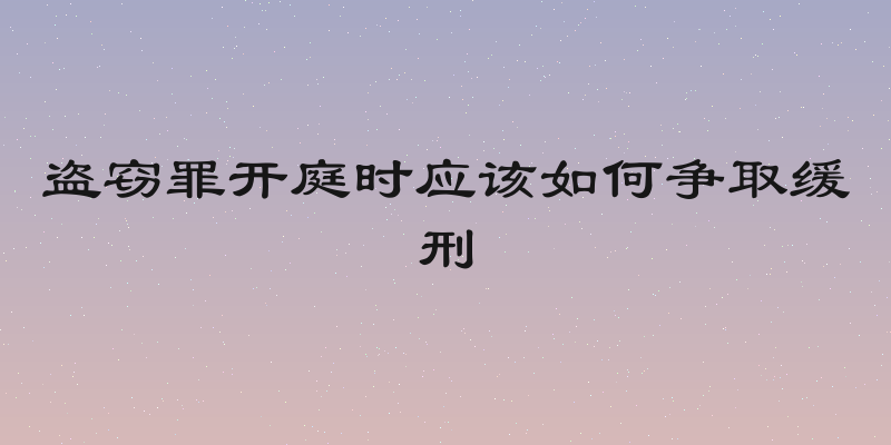 盗窃罪开庭时应该如何争取缓刑