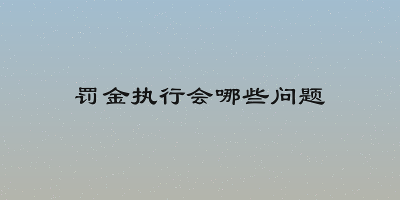 罚金执行会哪些问题
