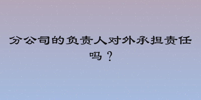 分公司的负责人对外承担责任吗？