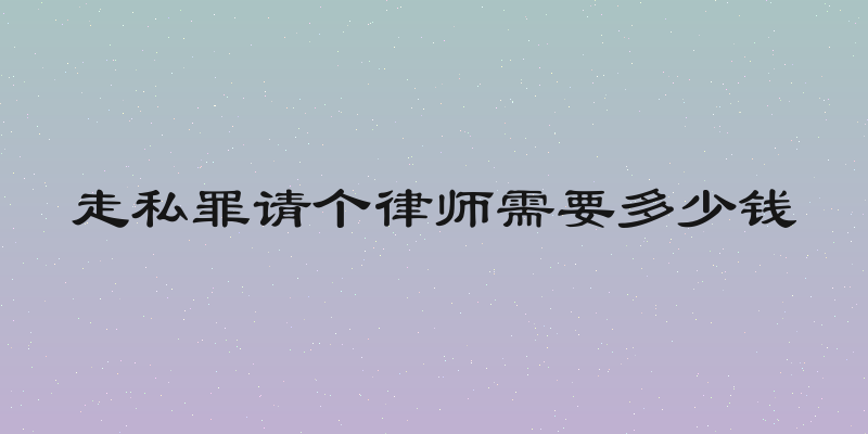 走私罪请个律师需要多少钱