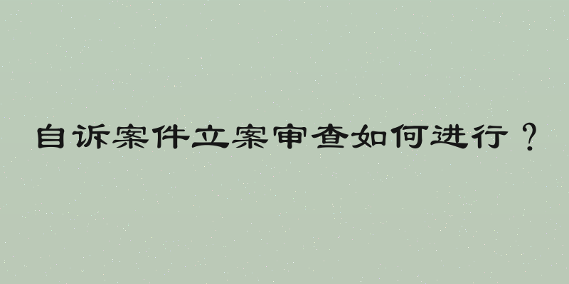 自诉案件立案审查如何进行？