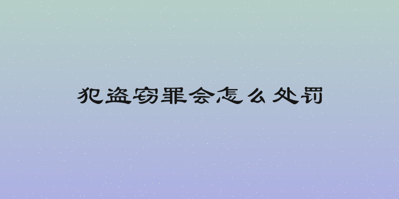 犯盗窃罪会怎么处罚