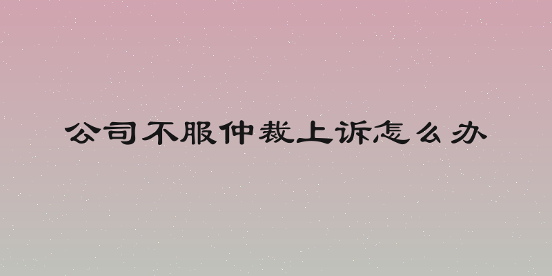 公司不服仲裁上诉怎么办