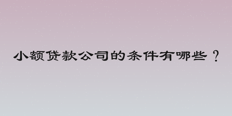 小额贷款公司的条件有哪些？