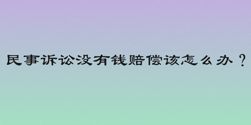 民事诉讼没有钱赔偿该怎么办？