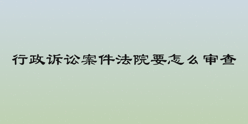 行政诉讼案件法院要怎么审查