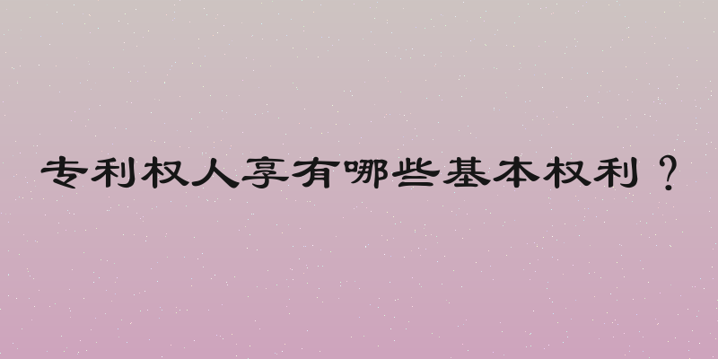 专利权人享有哪些基本权利？