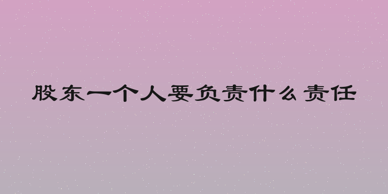 股东一个人要负责什么责任