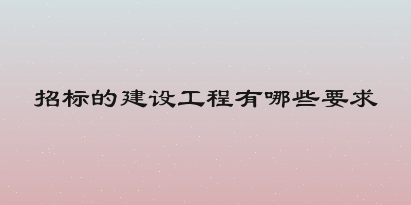 招标的建设工程有哪些要求