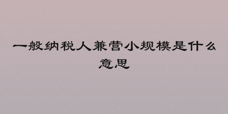 一般纳税人兼营小规模是什么意思