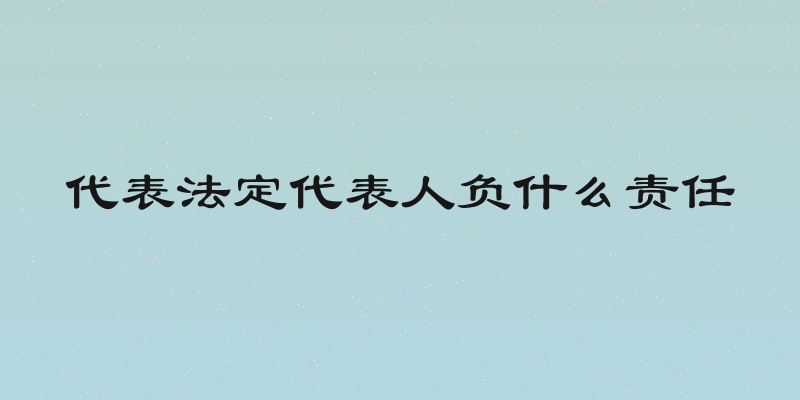 代表法定代表人负什么责任