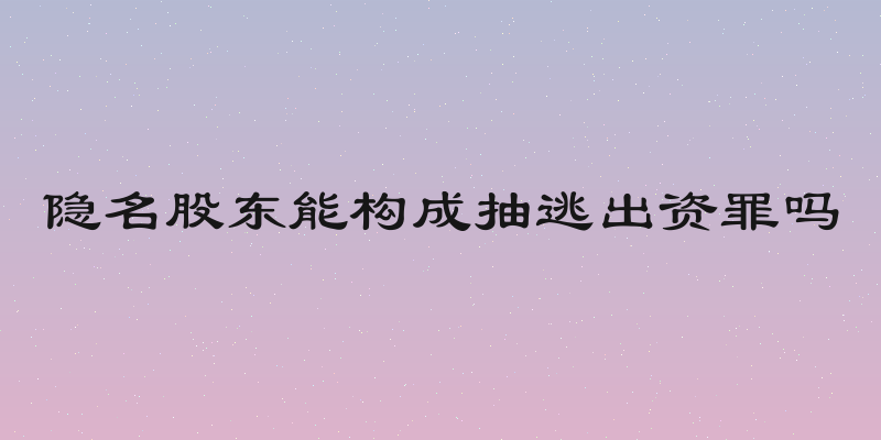 隐名股东能构成抽逃出资罪吗