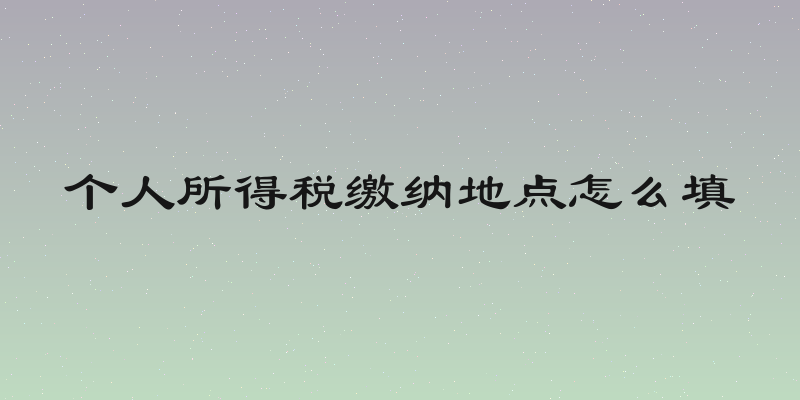 个人所得税缴纳地点怎么填