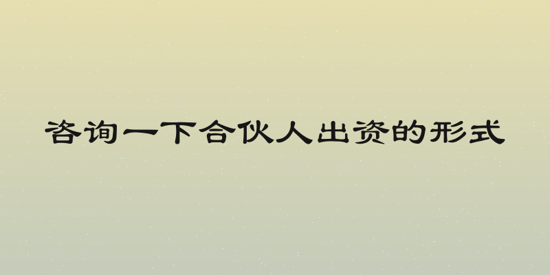 咨询一下合伙人出资的形式
