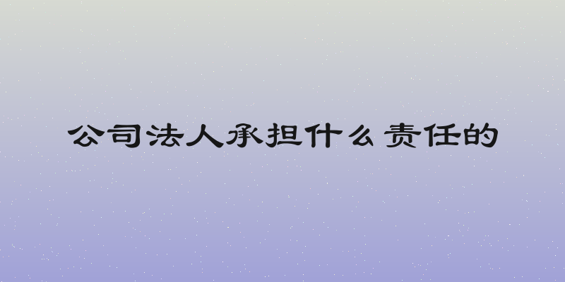 公司法人承担什么责任的