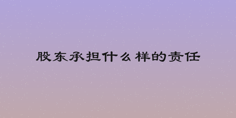股东承担什么样的责任