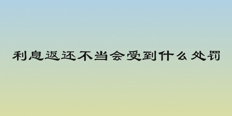 利息返还不当会受到什么处罚