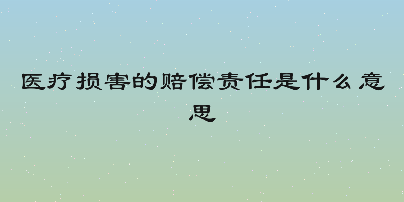 医疗损害的赔偿责任是什么意思