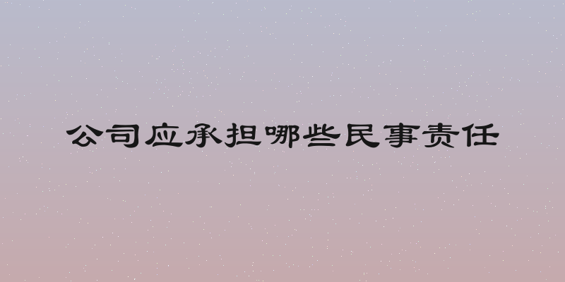 公司应承担哪些民事责任