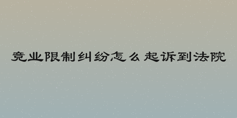 竞业限制纠纷怎么起诉到法院